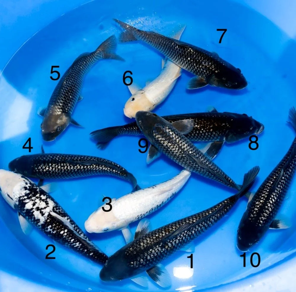 20260107_201057981_iOS (1).jpg