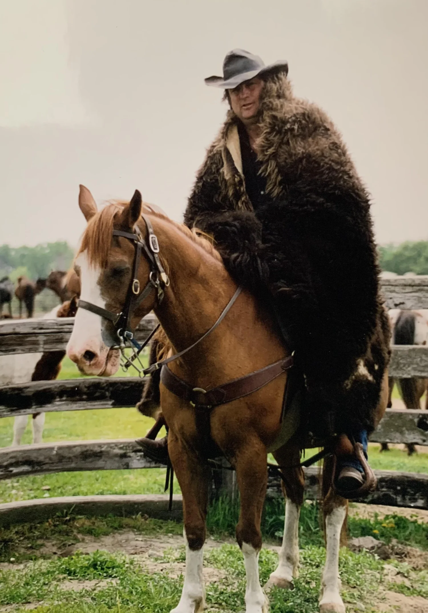 Circle R Ranch | Experience the Adventure