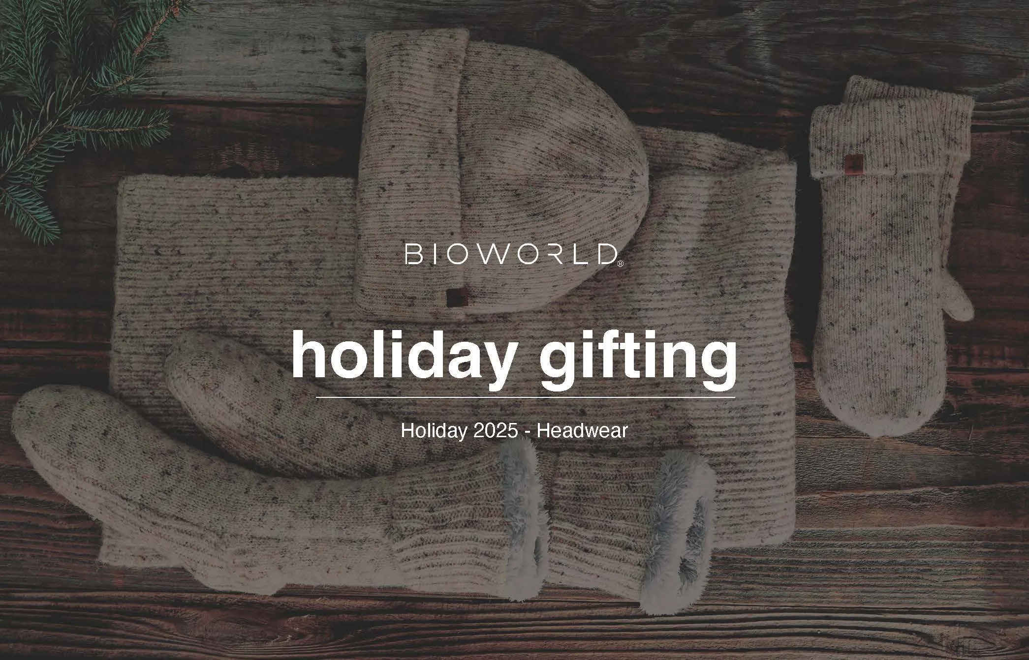 CW DEVELOPMENT - HOL25 GIFTING TREND DECK_Page_01.jpg