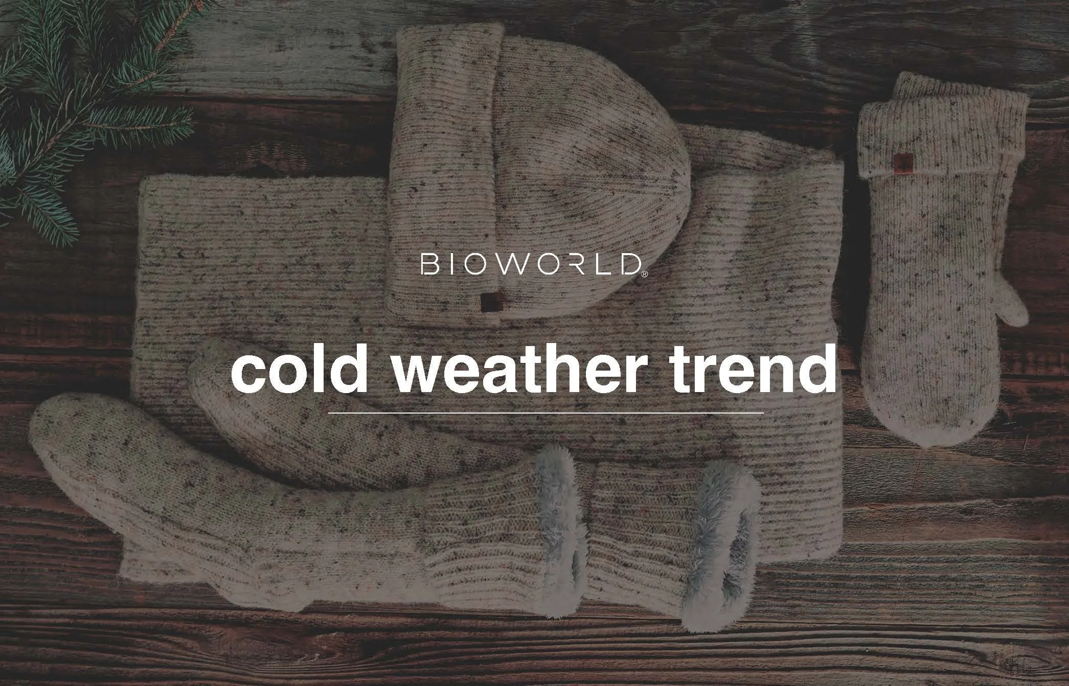 TJ  MAXX  LADIES CW  F25-R_Page_02.jpg