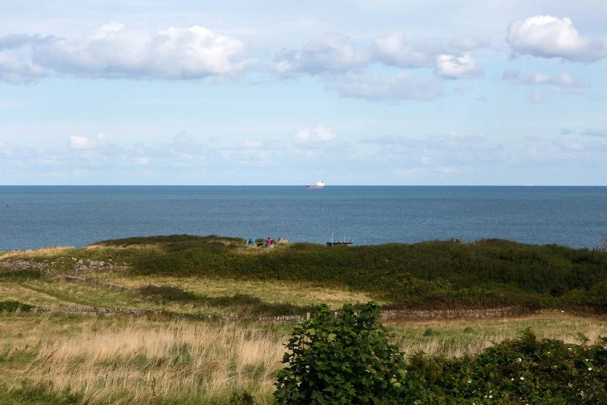 Scenic view of grassy dunes and green bushes overlooking the ocean with a cargo ship in the distance under a cloudy sky.
