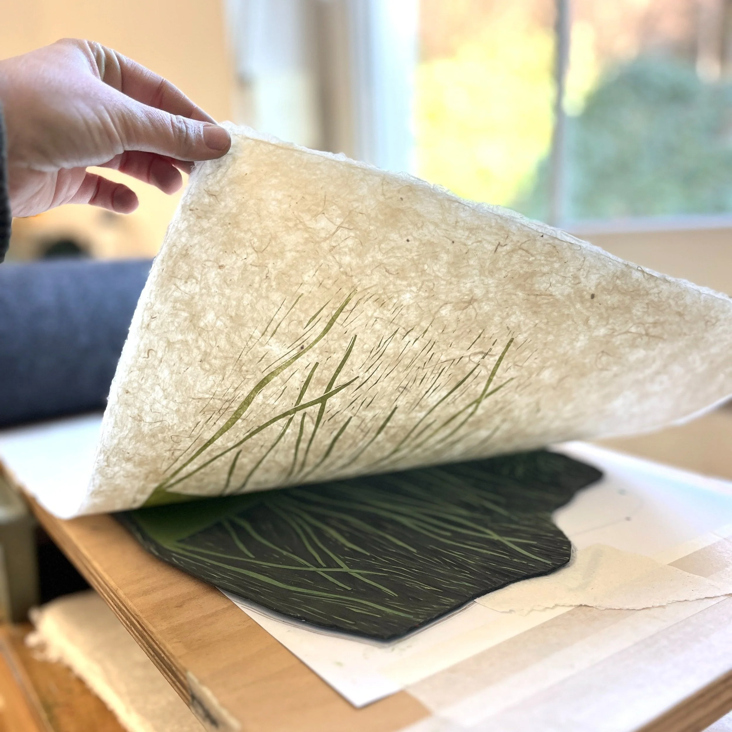 Papier macht man aus… Bäumen?