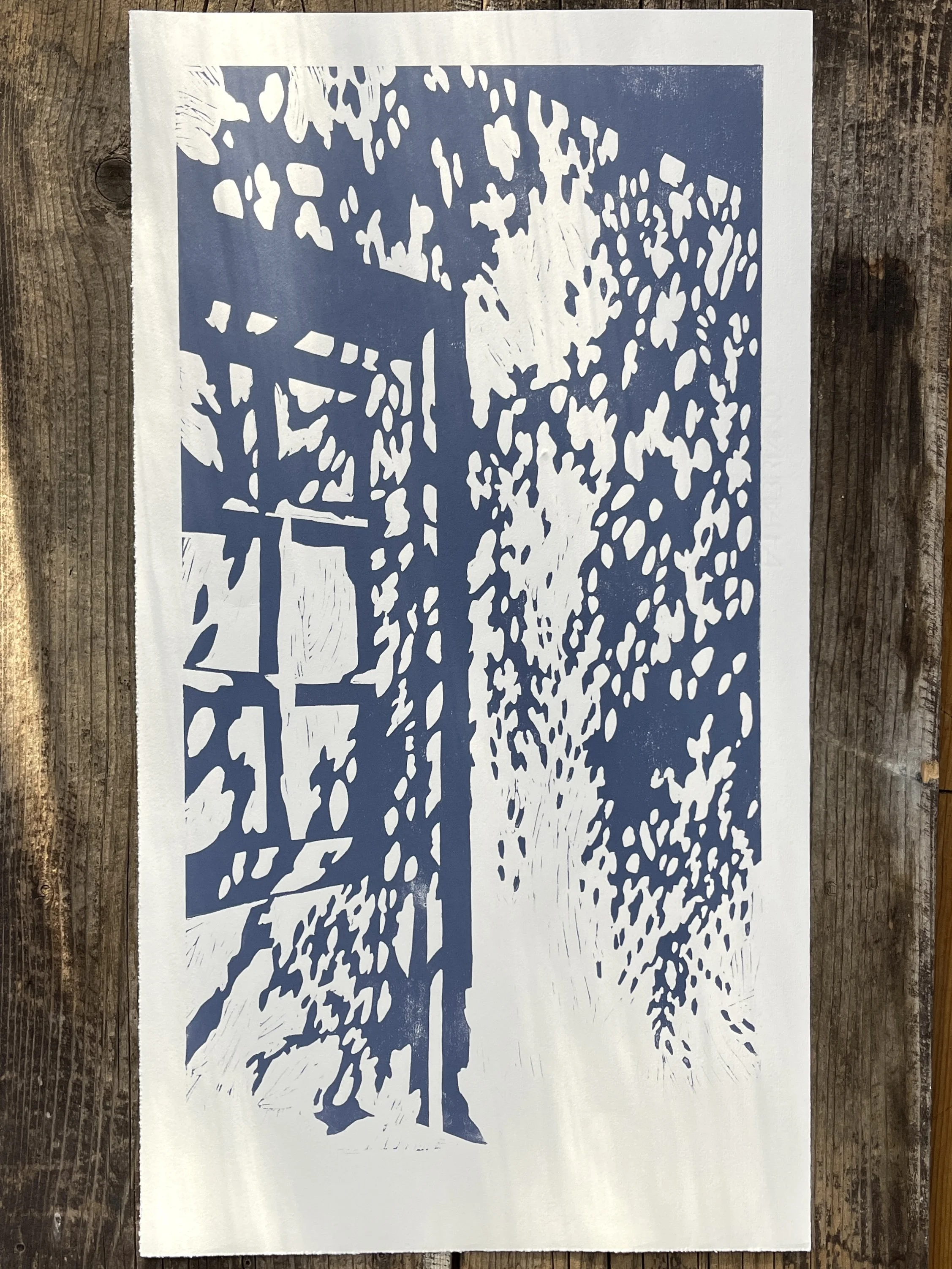 GENAU HIER BIN ICH RICHTIG