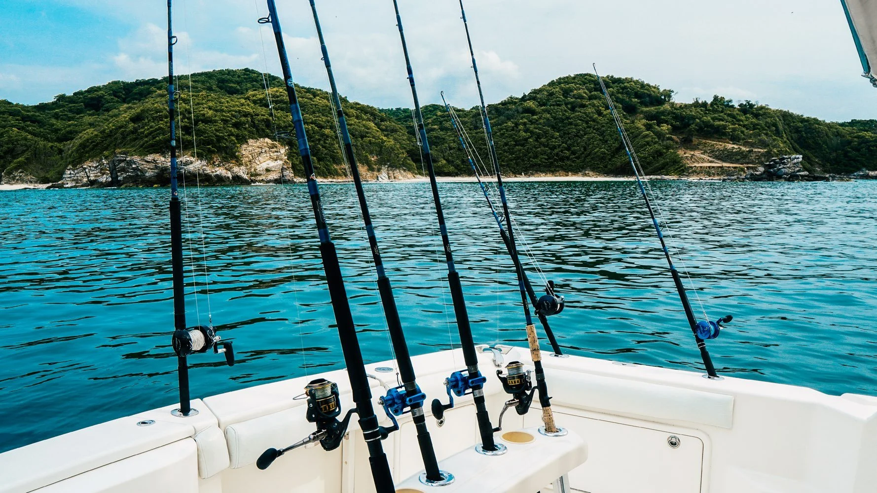 Fishing rods on a boat with ocean and island background