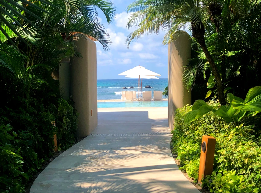 Pathway leading to a beach view with an umbrella and lounge chairs, surrounded by lush greenery.