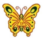 New Tiao Peng Trading Inc. 1.png