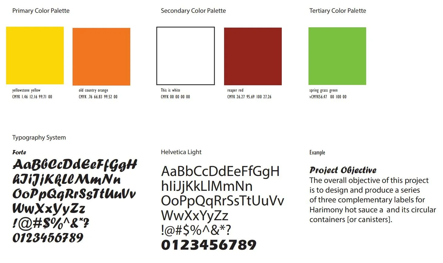 Color palette and typography guide showing primary, secondary, and tertiary colors, along with font styles in Forte and Helvetica Light, and an example project objective.