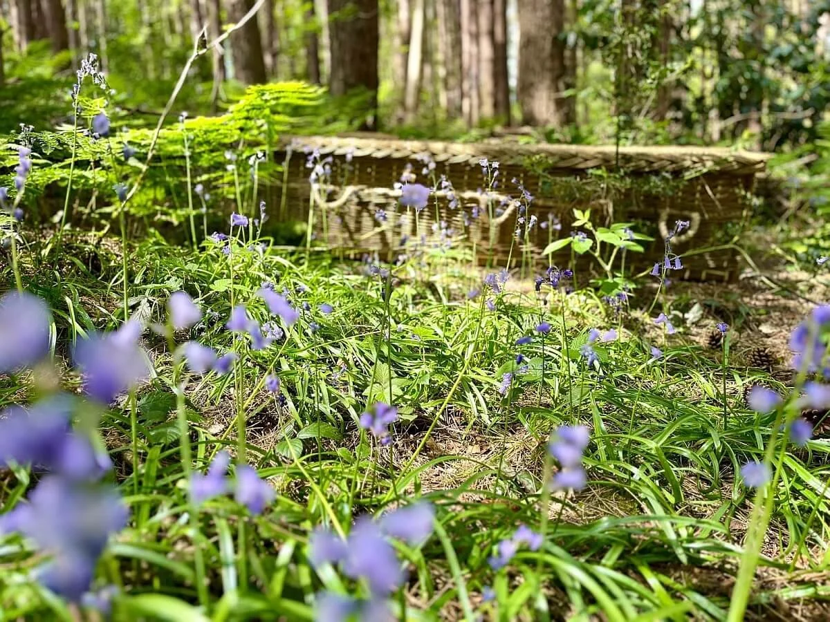 Natural Burial: How Death Can Support Life