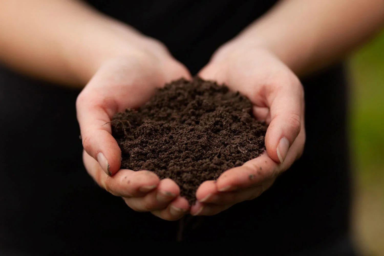 Human Composting