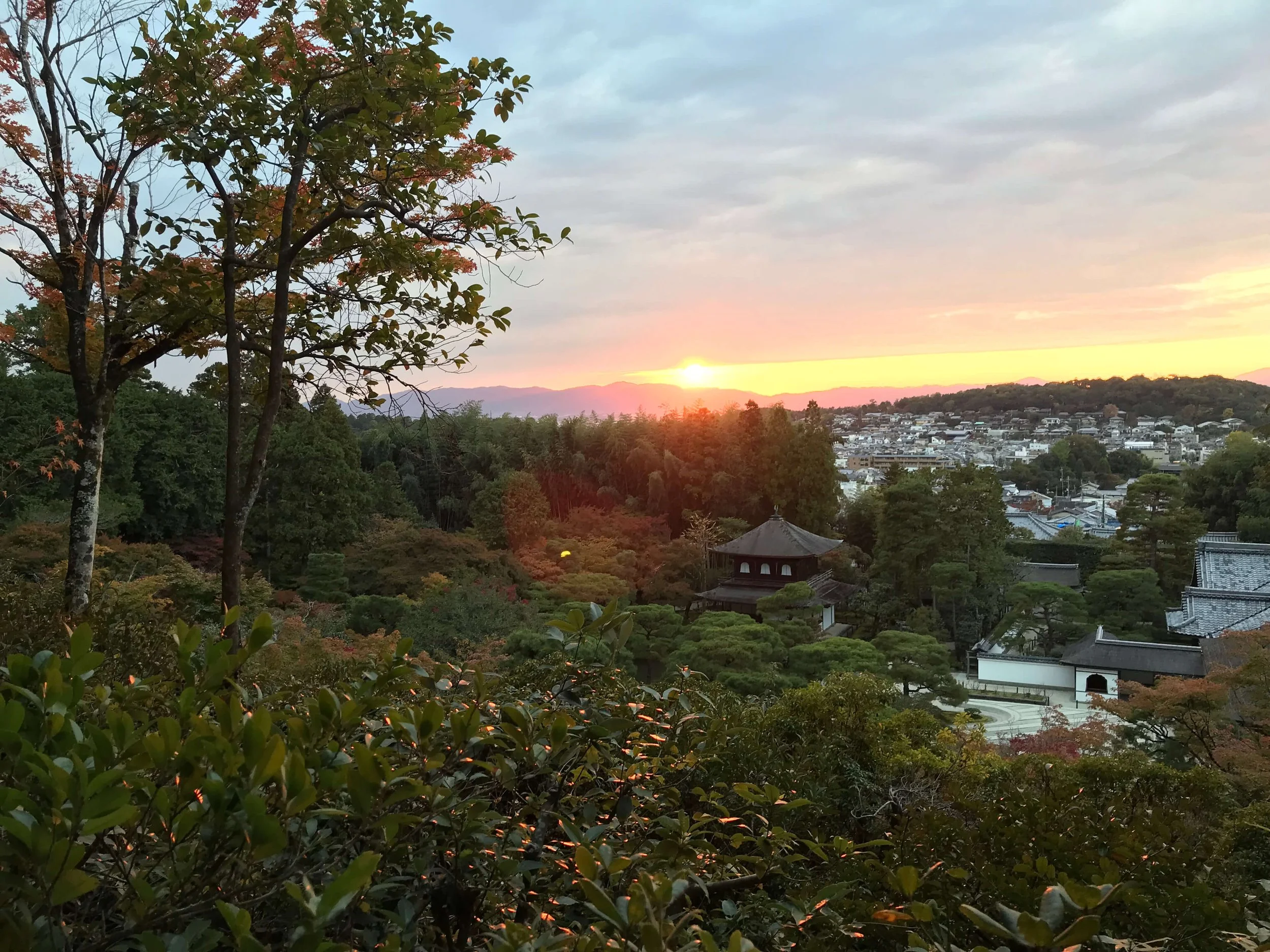 Beginning the New Year Feeling Lighter