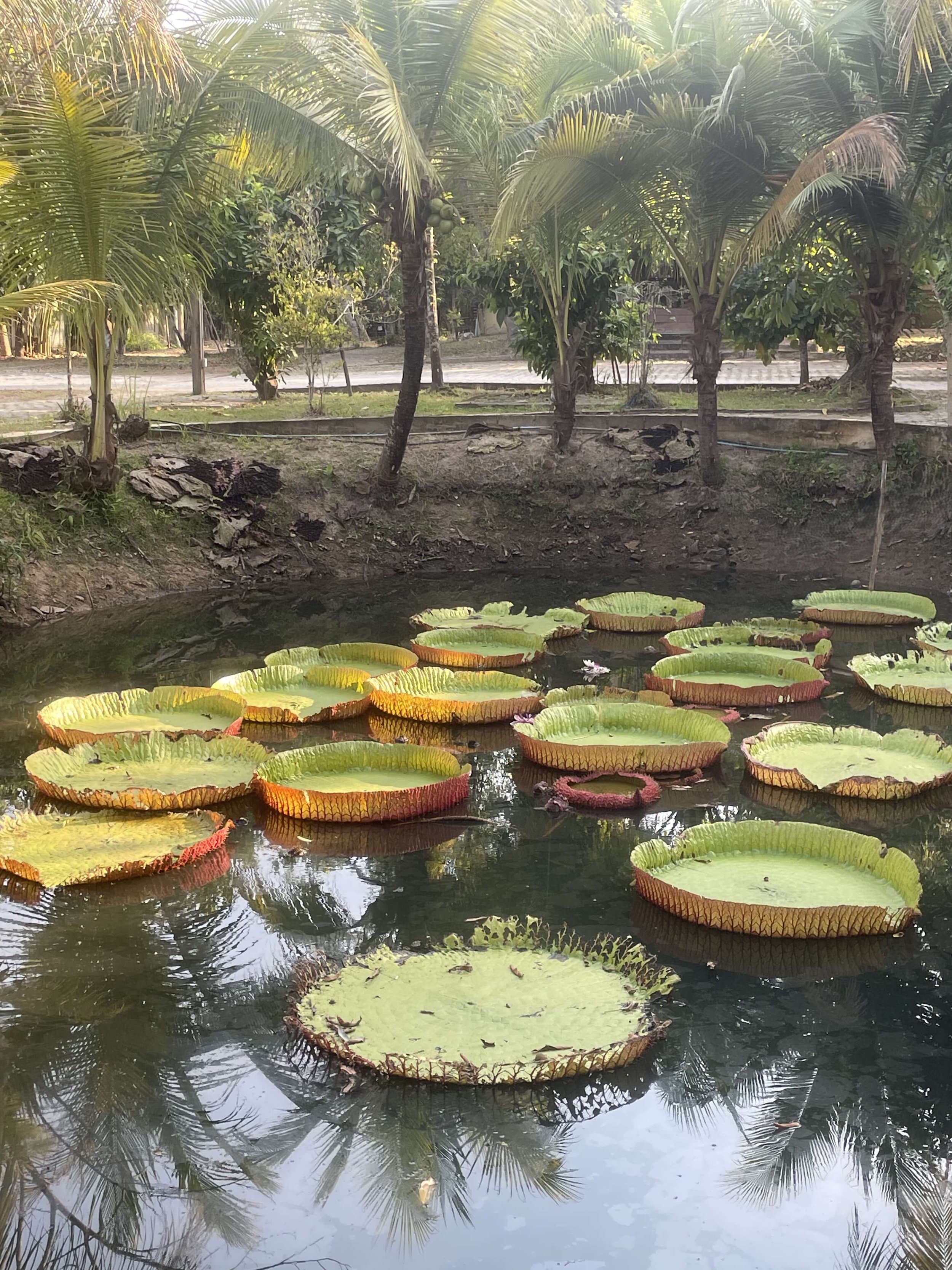 More Than One Right Option