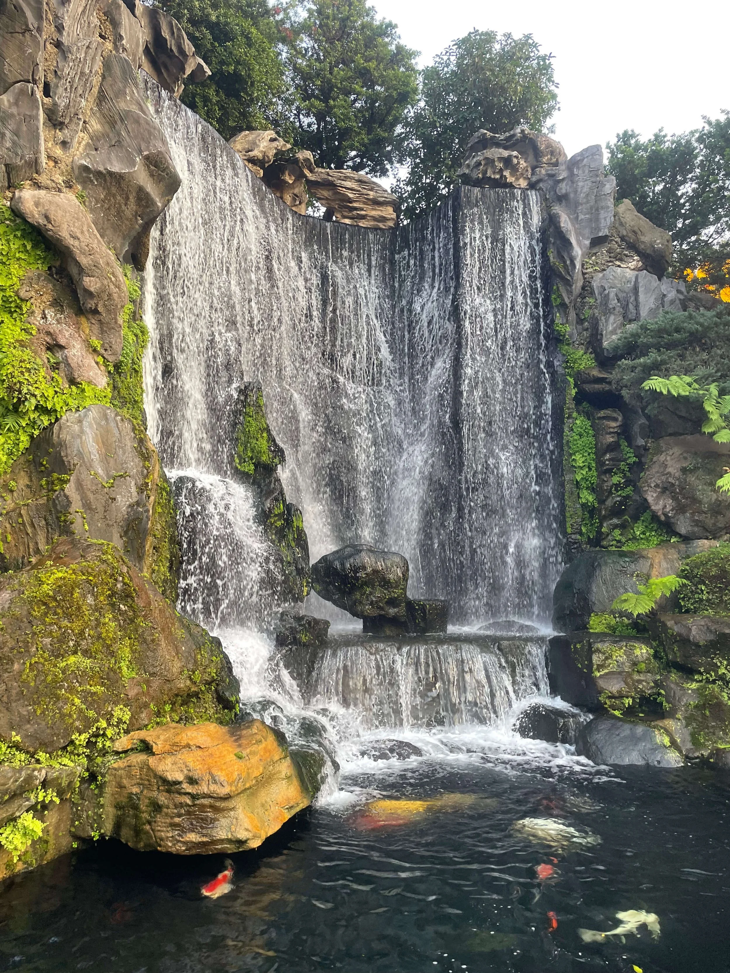 Breaking the Cycle with Compassion