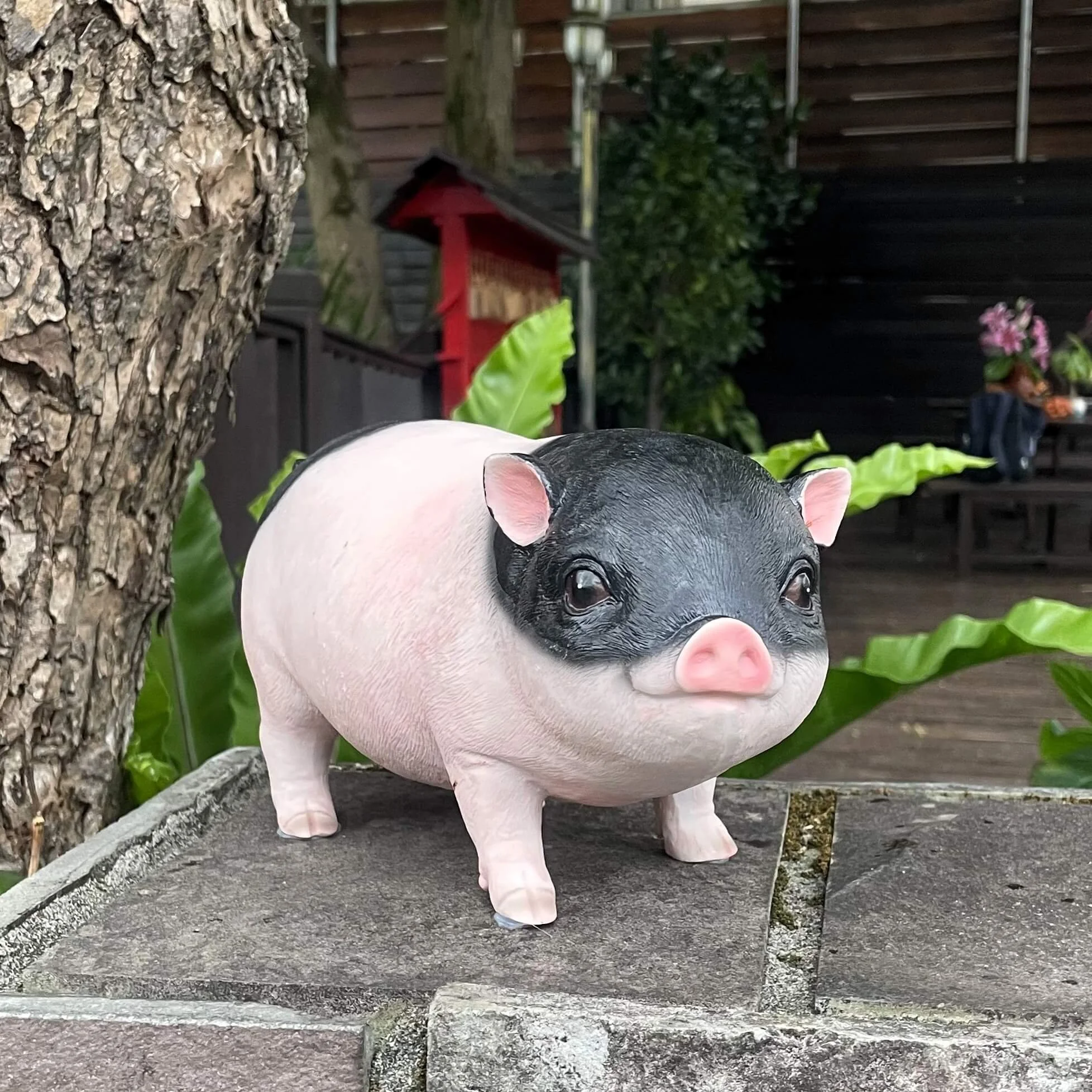 Coaching Connections Mar 3 Post_Comment2.jpg