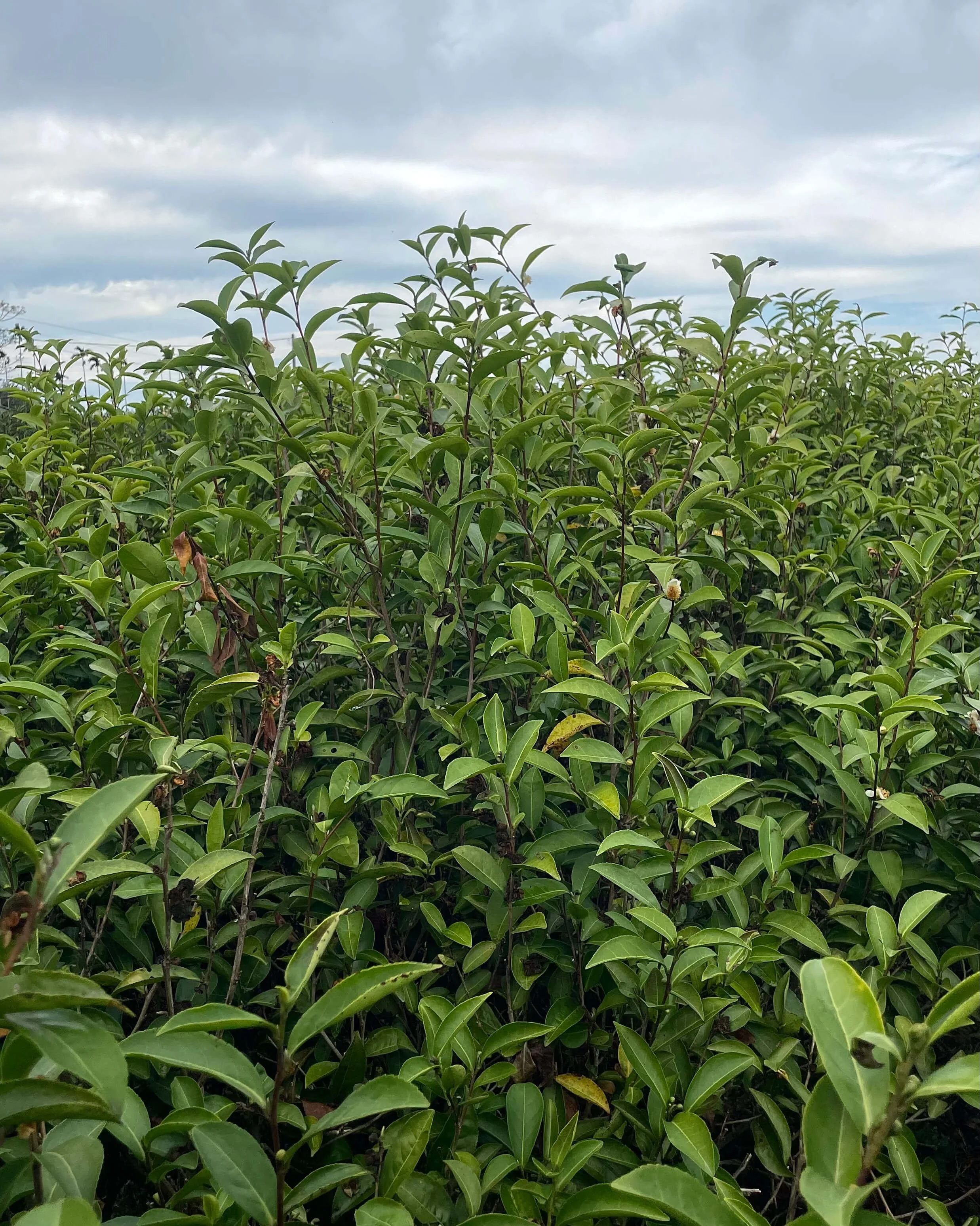 The Way People Find Each Other