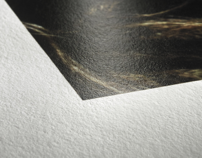 Screenshot 2025-07-21 at 4.21.24 p.m..png