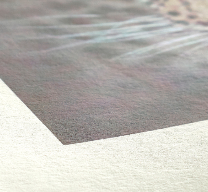 Screenshot 2025-07-21 at 1.11.02 p.m..png