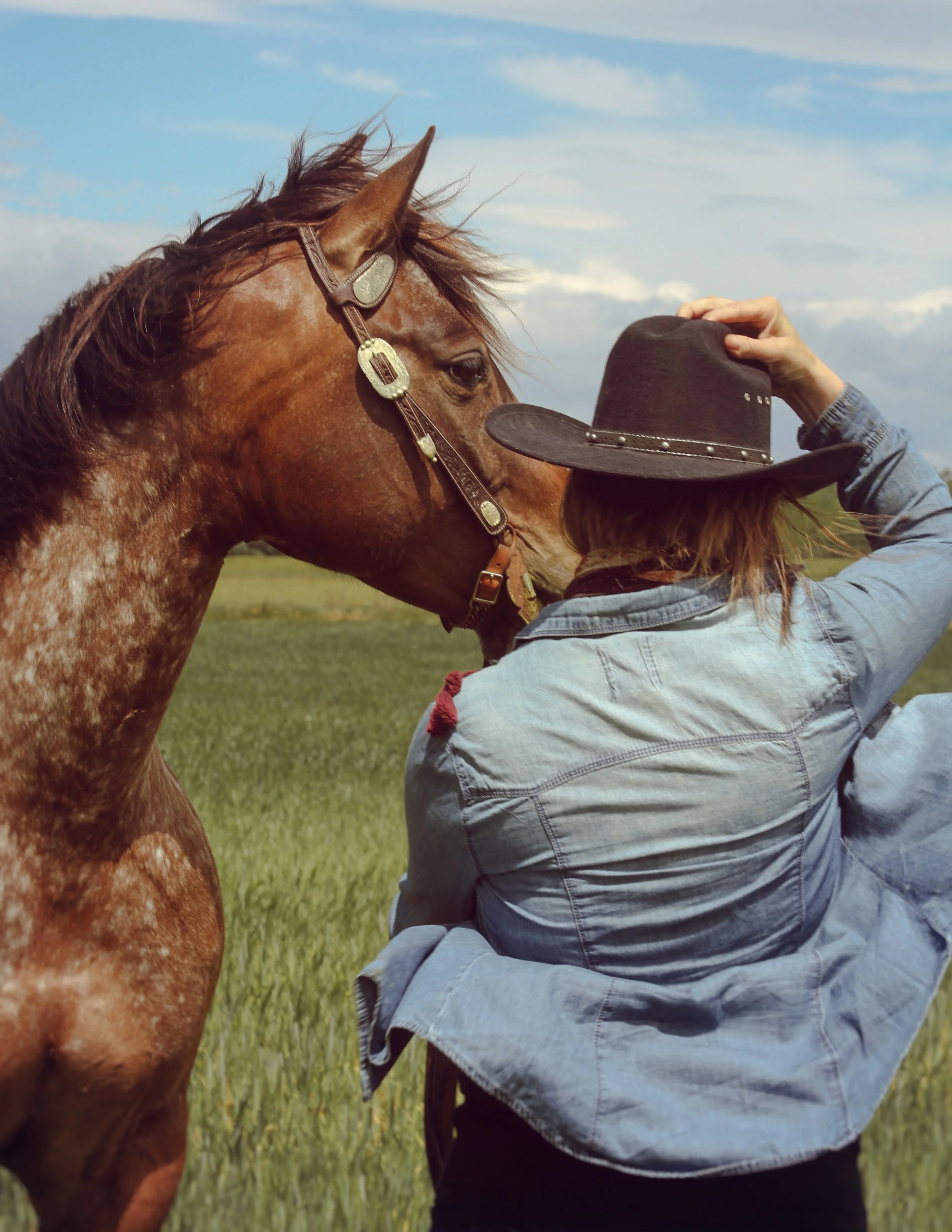 A person with long hair wearing a black cowboy hat and denim shirt interacts with a chestnut horse in an open grassy field under a partly cloudy sky.