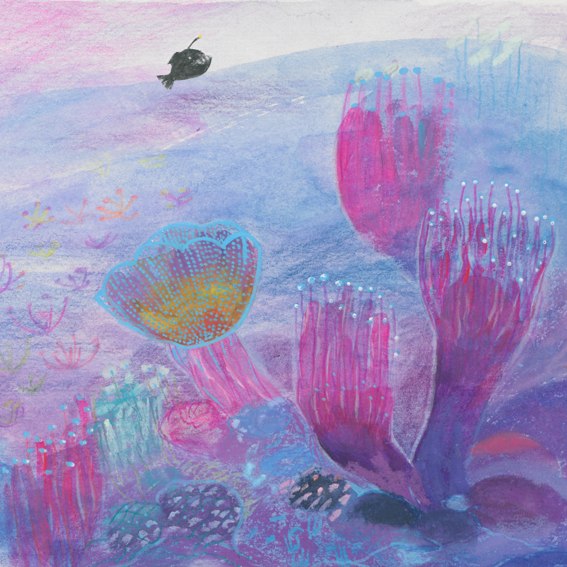 Colorful underwater scene with various abstract coral and sea plants, a fish in the upper left, and small fish or creatures in the background.