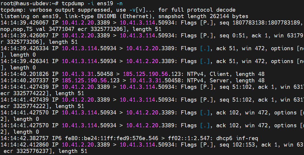 Monitoring traffic in a Proxmox environment