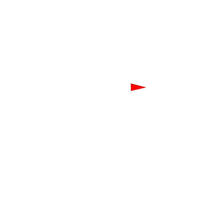 [04]-BEYOND-TRAINING.png