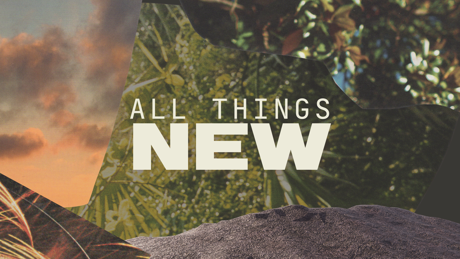New Joy - All Things New