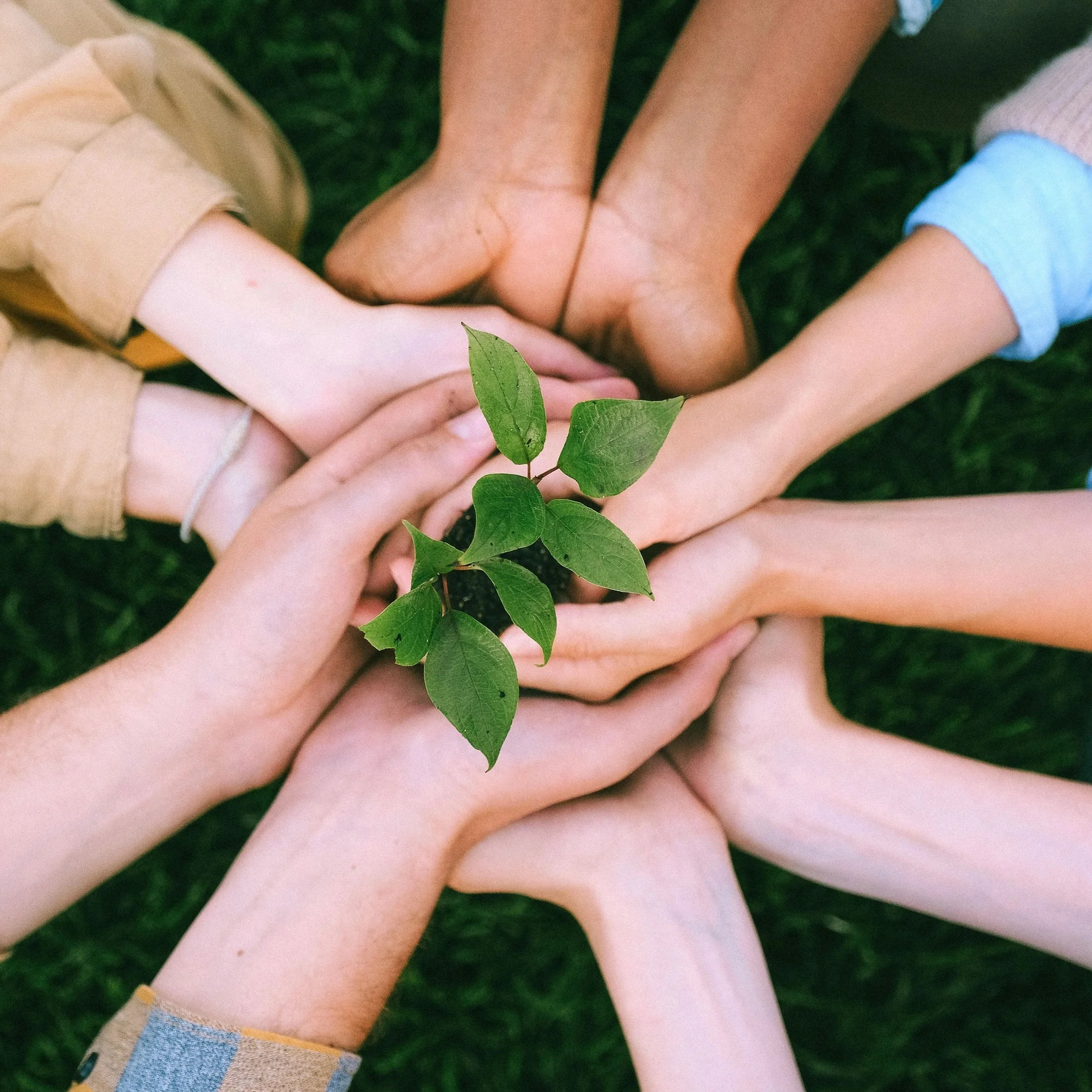 Organizational Psychology, Public Health, and Relational Health: Toward an Integrated Framework for Human Flourishing