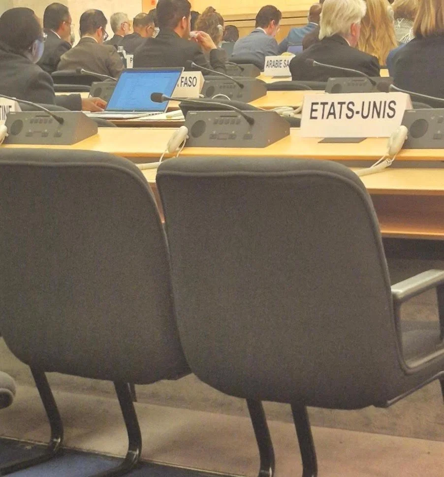 Is the UN worth saving?