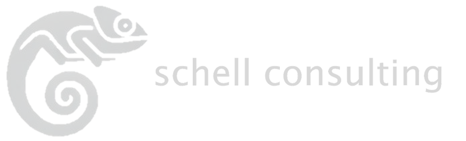 schell consulting 