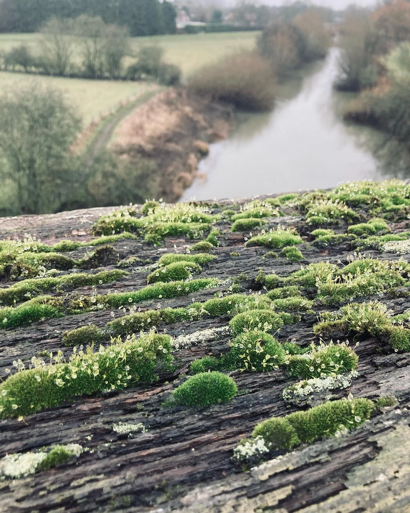 Our winter break was pretty magical in the end after some pretty typical change of plans. 

We used our time to slow down and take in the views. 

We hope everyone else is easing slowly and gently into the new year. 

Today, we&rsquo;re back at Sasqu