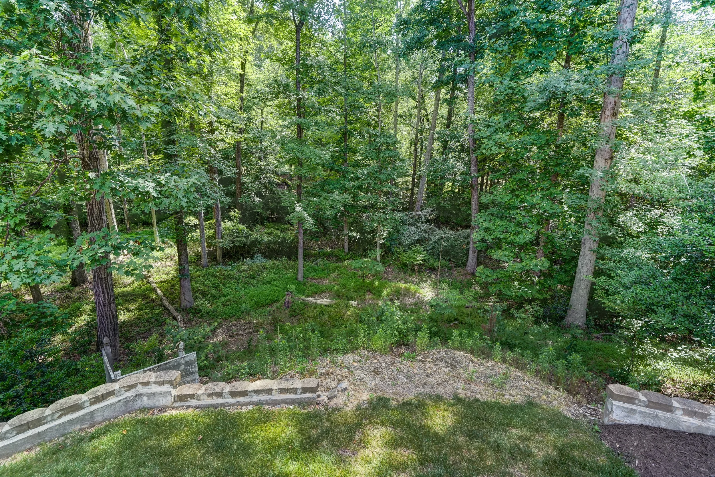 12801 Craystone Cir 3683.jpg