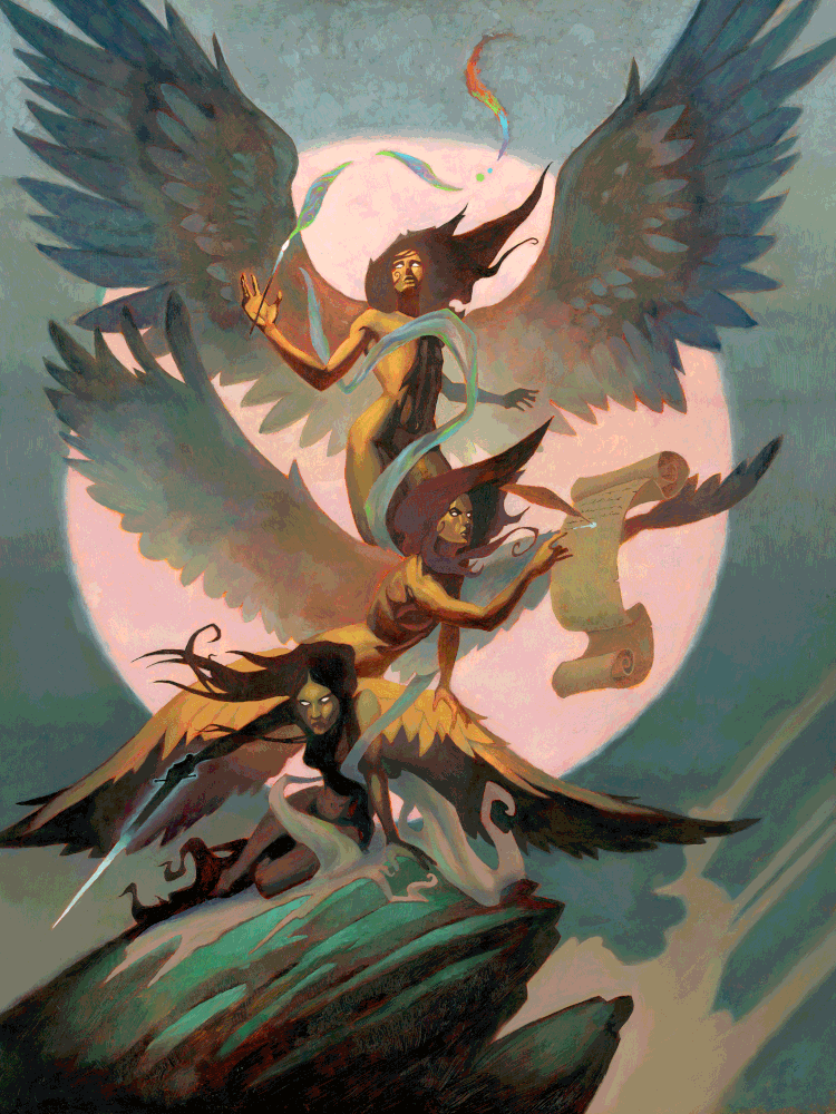 image-asset.gif