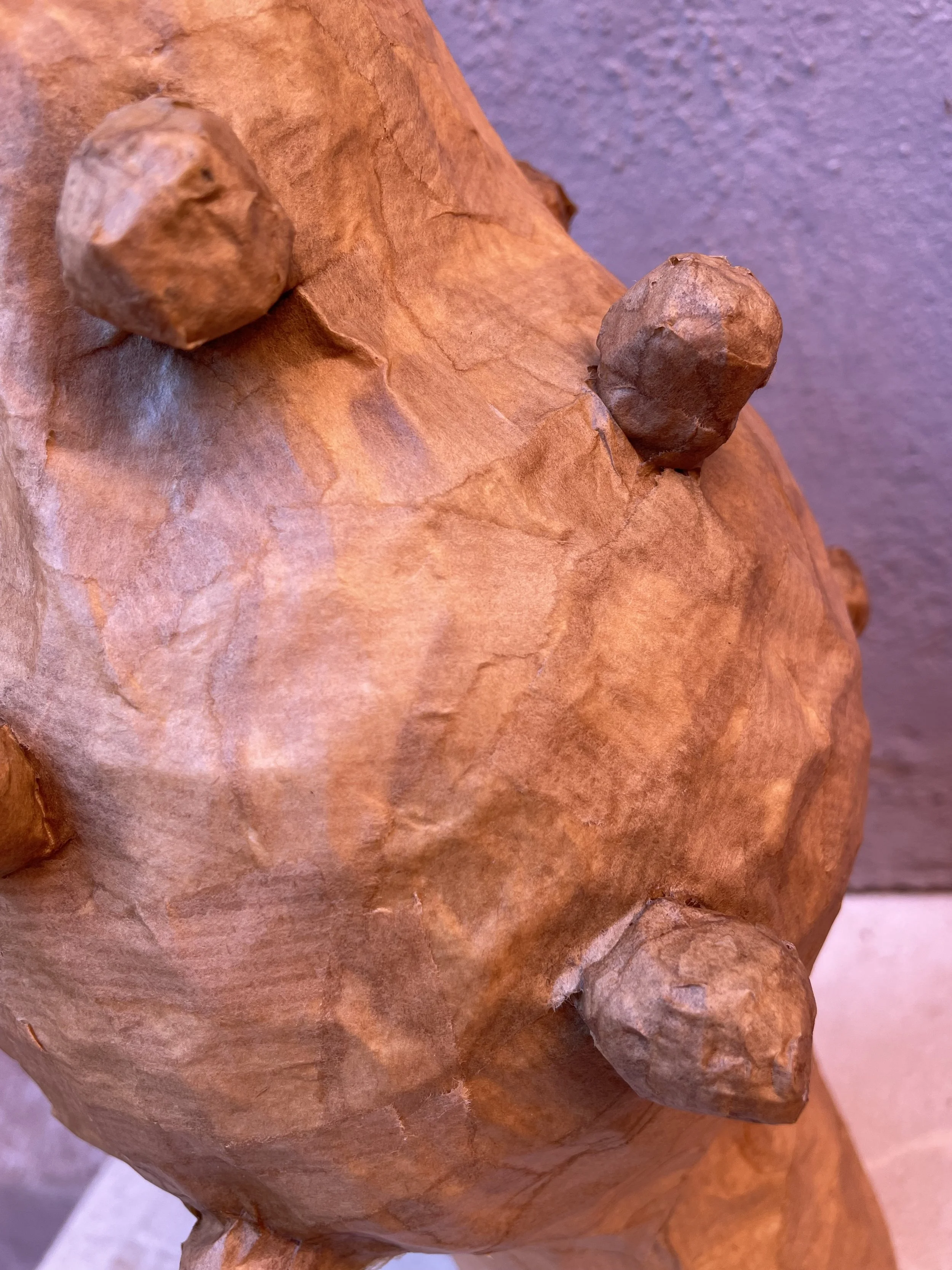 Papier Mache Experiment