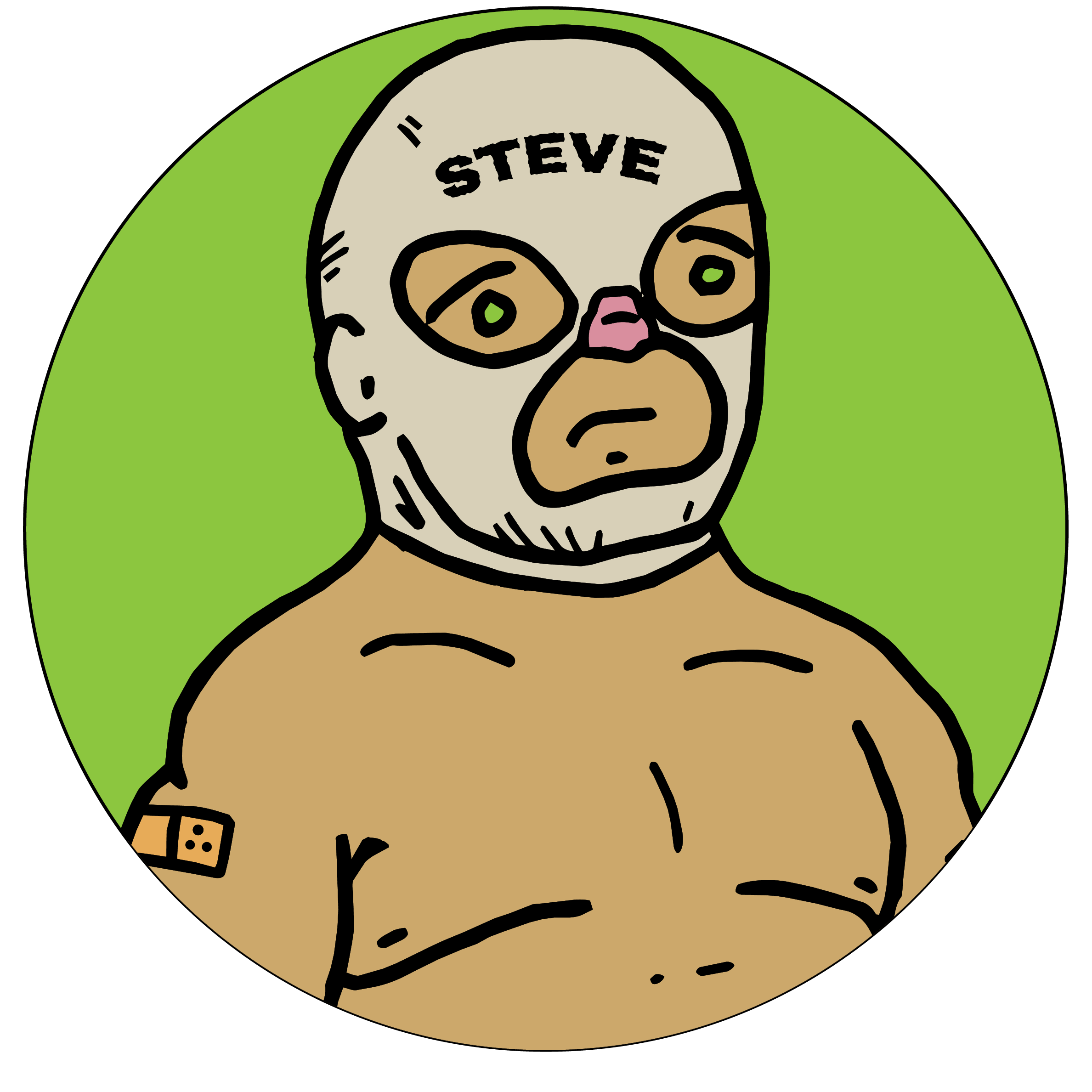 A cartoon image of a white pro wrestler wearinga  white mask with the name "Steve" written on it.