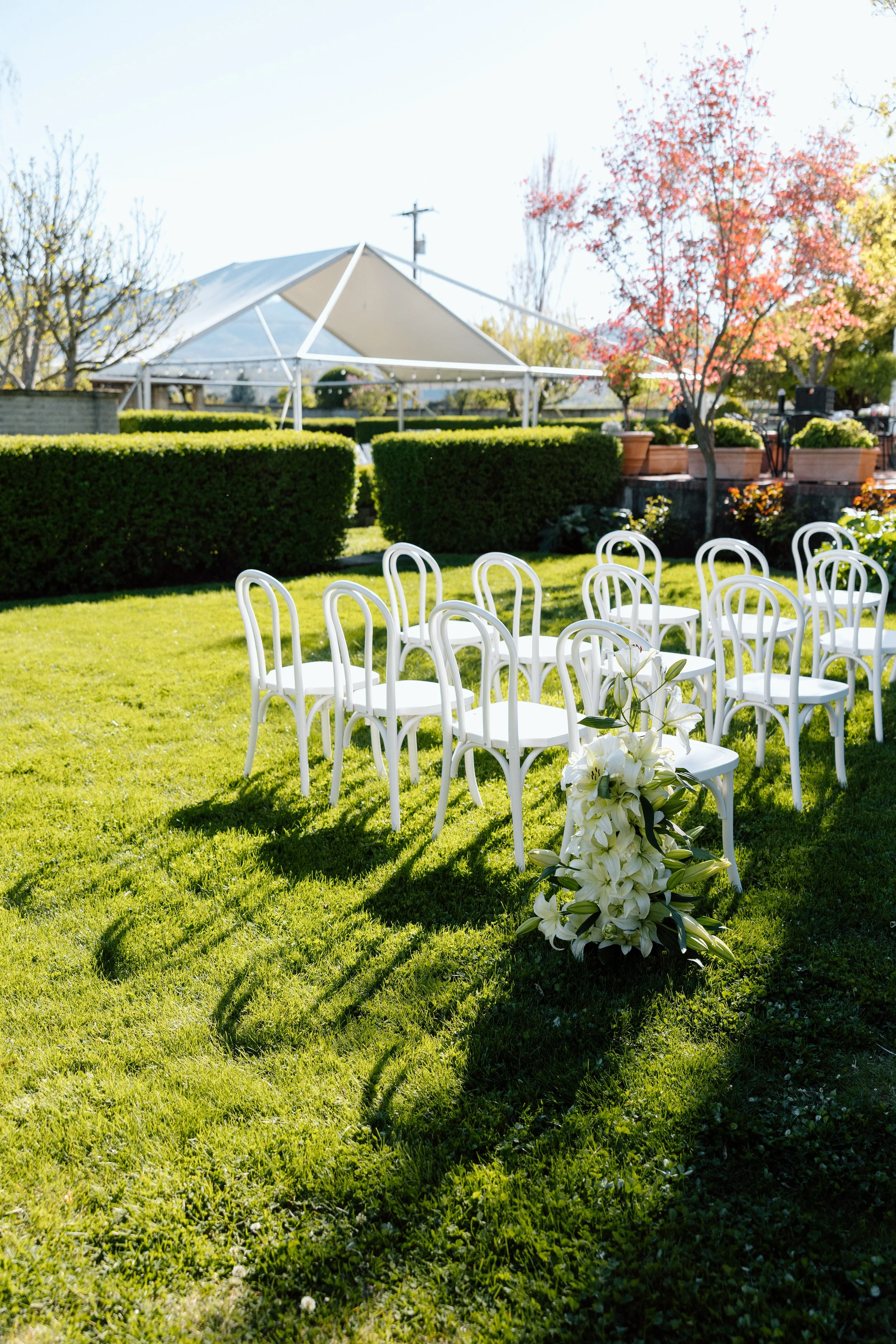 EMILY B. PHOTO CO. -- Southern Oregon Wedding Photographer -- Edenvale Winery -- Ava + Nate -- CEREMONY.jpg