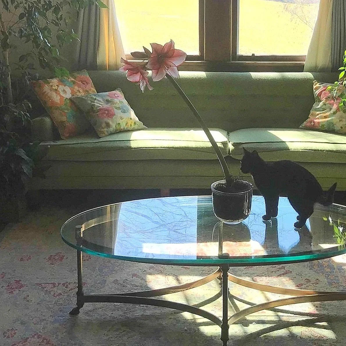 ArtFULL%25252BInteriors%25252BInterior%25252BDesign%25252BConcord%2525252C%25252BNH%25252B03301%25252BFarm%25252BHouse%25252B%25252BFun%25252B%252525287%25252529.jpg