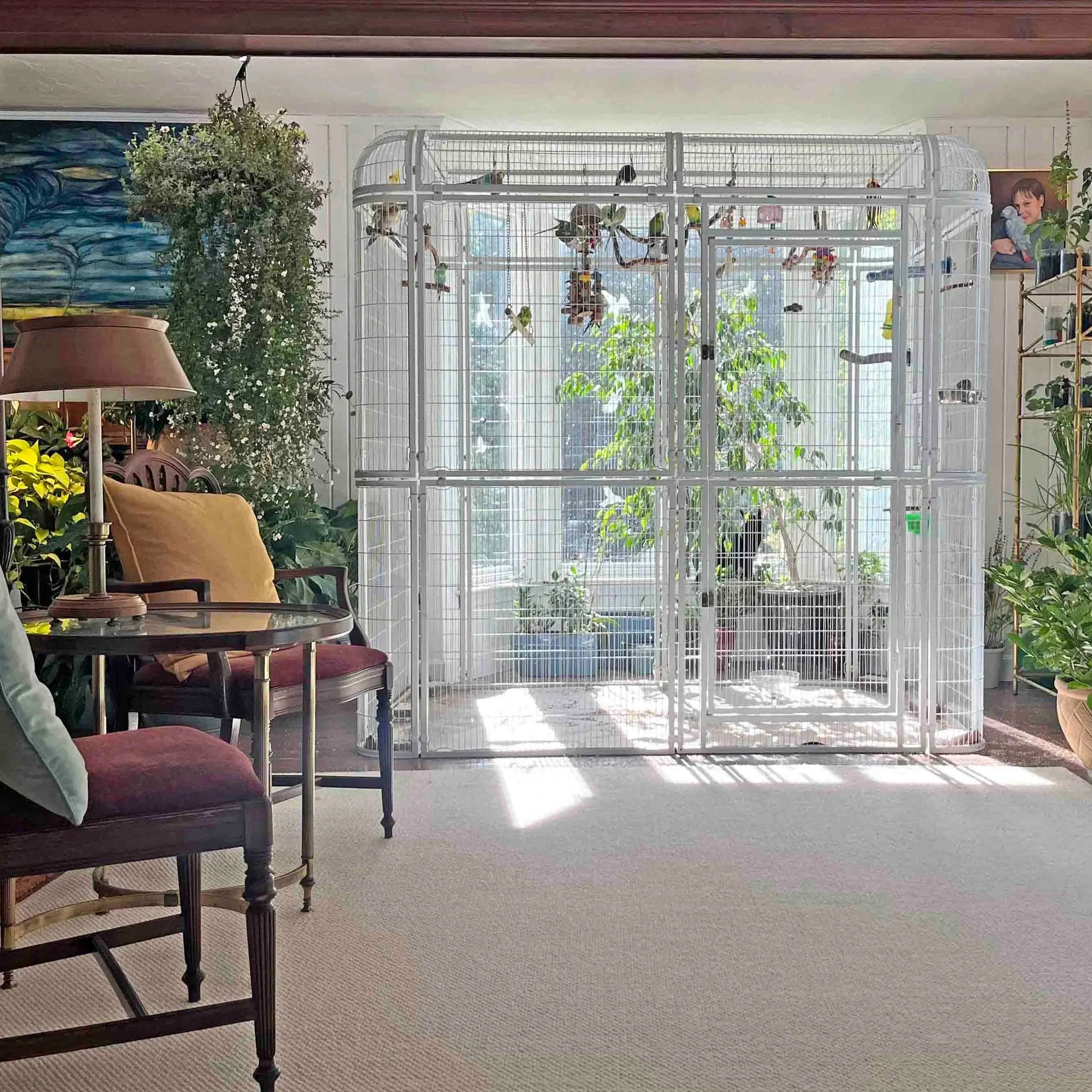 Artfull+Interiors+Birdroom+4x4.jpg