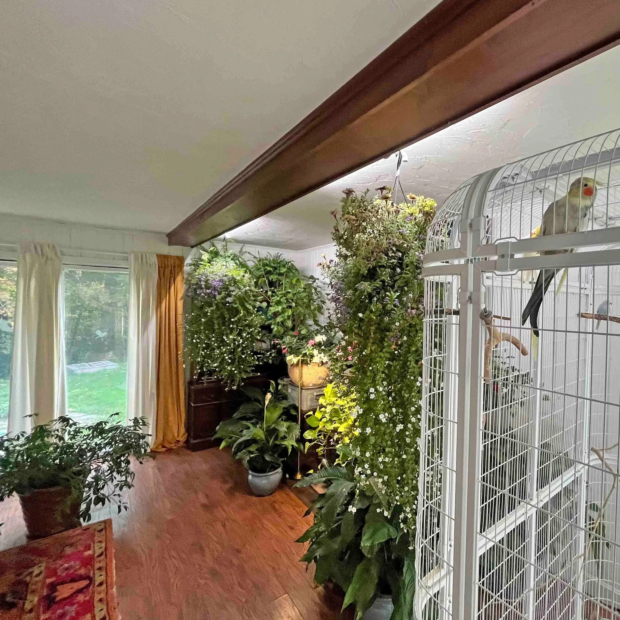 Artfull+Interiors+Birdroom+bird.jpg