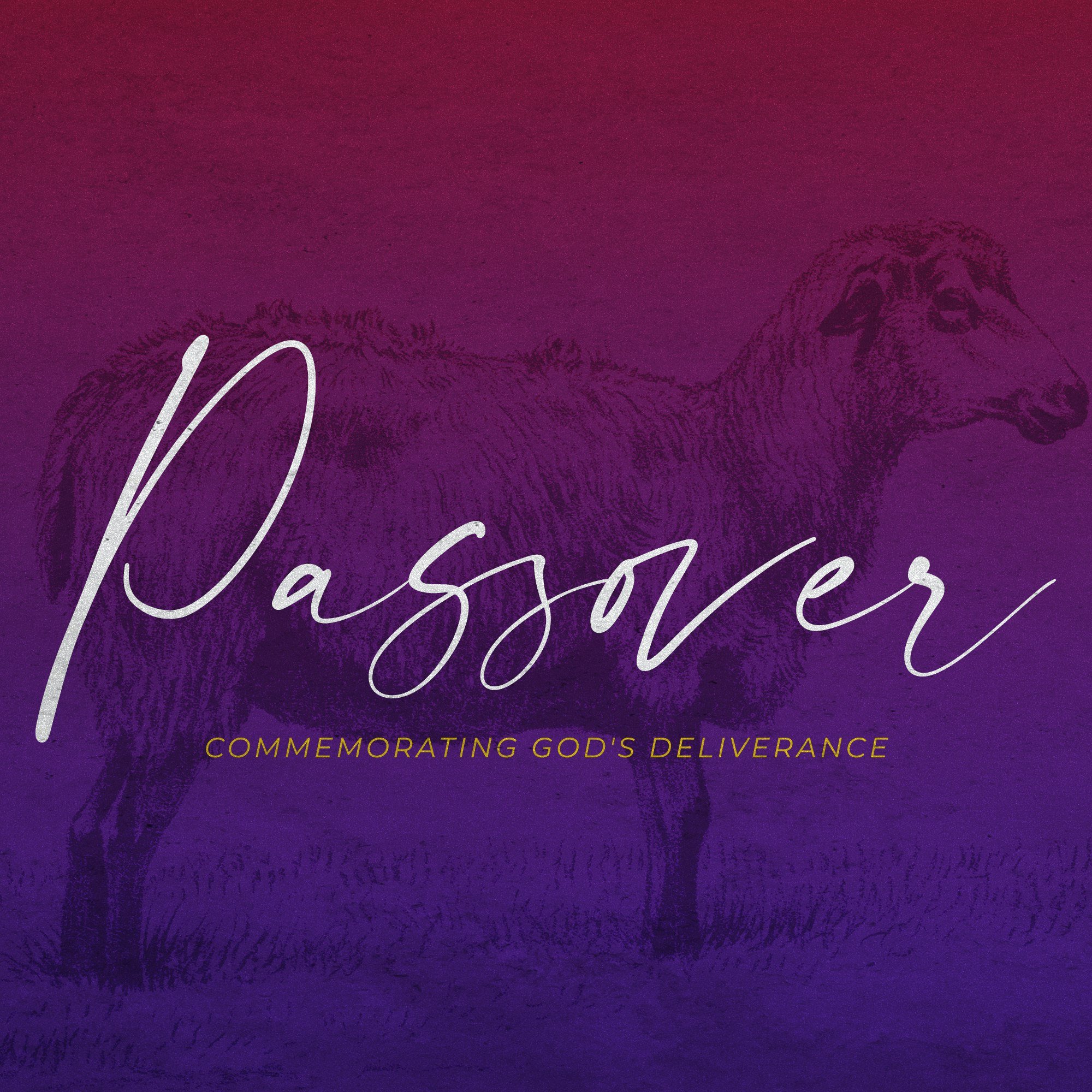 A Taste of Passover Meal