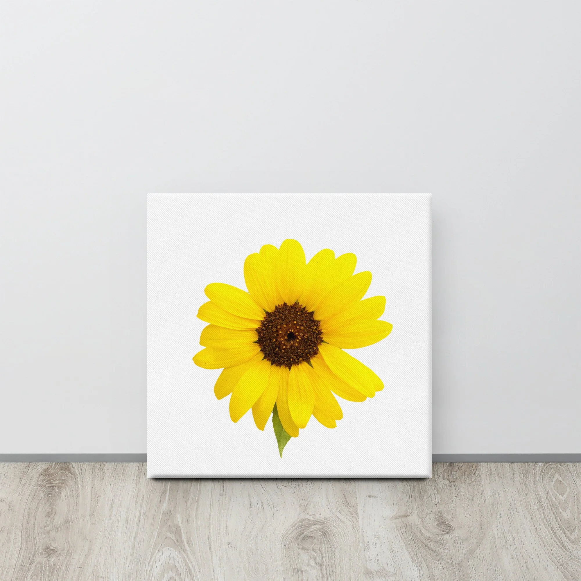 canvas-(in)-16x16-front-655e429c28a8f.jpg