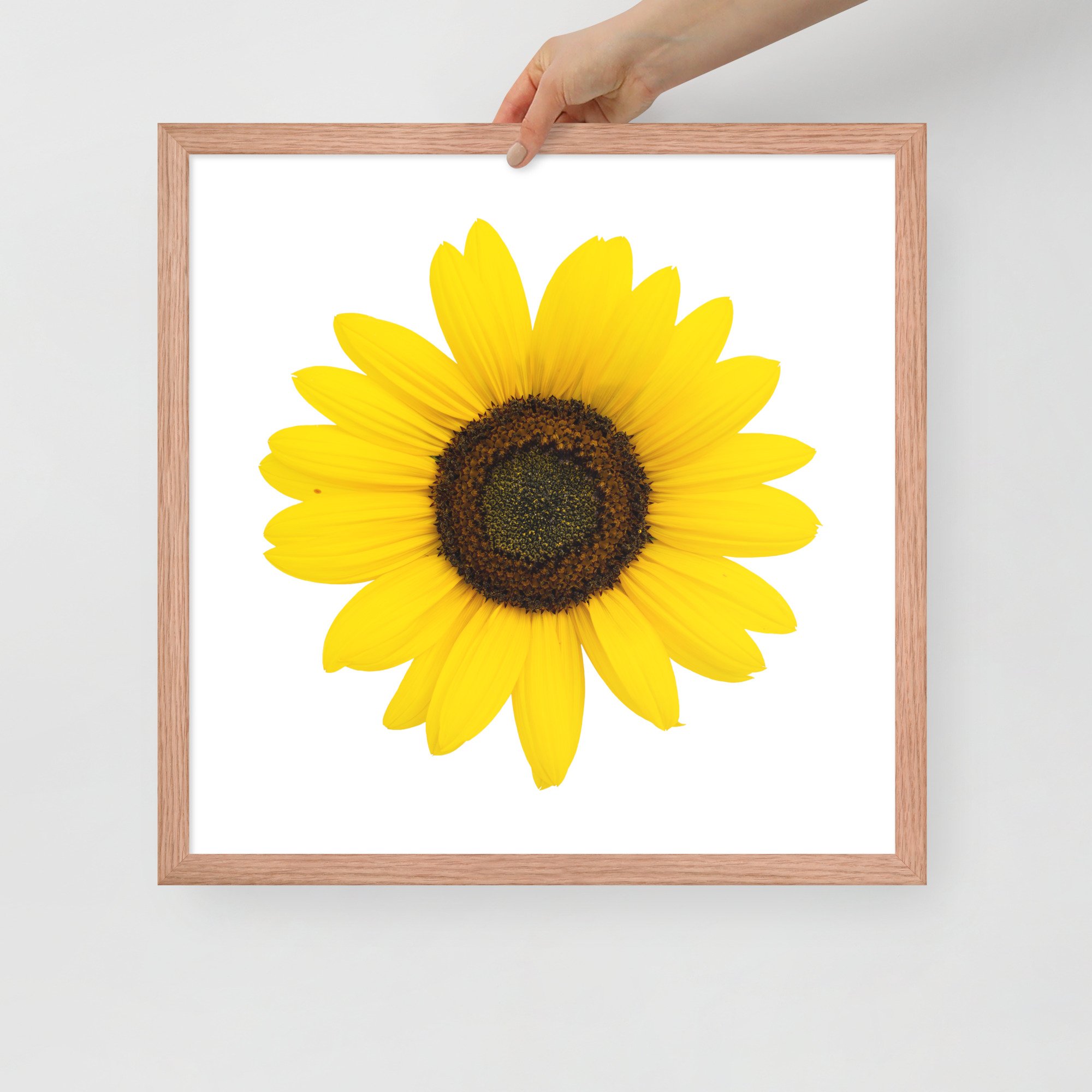 enhanced-matte-paper-framed-poster-(in)-red-oak-18x18-front-655d50e6bb59f.jpg