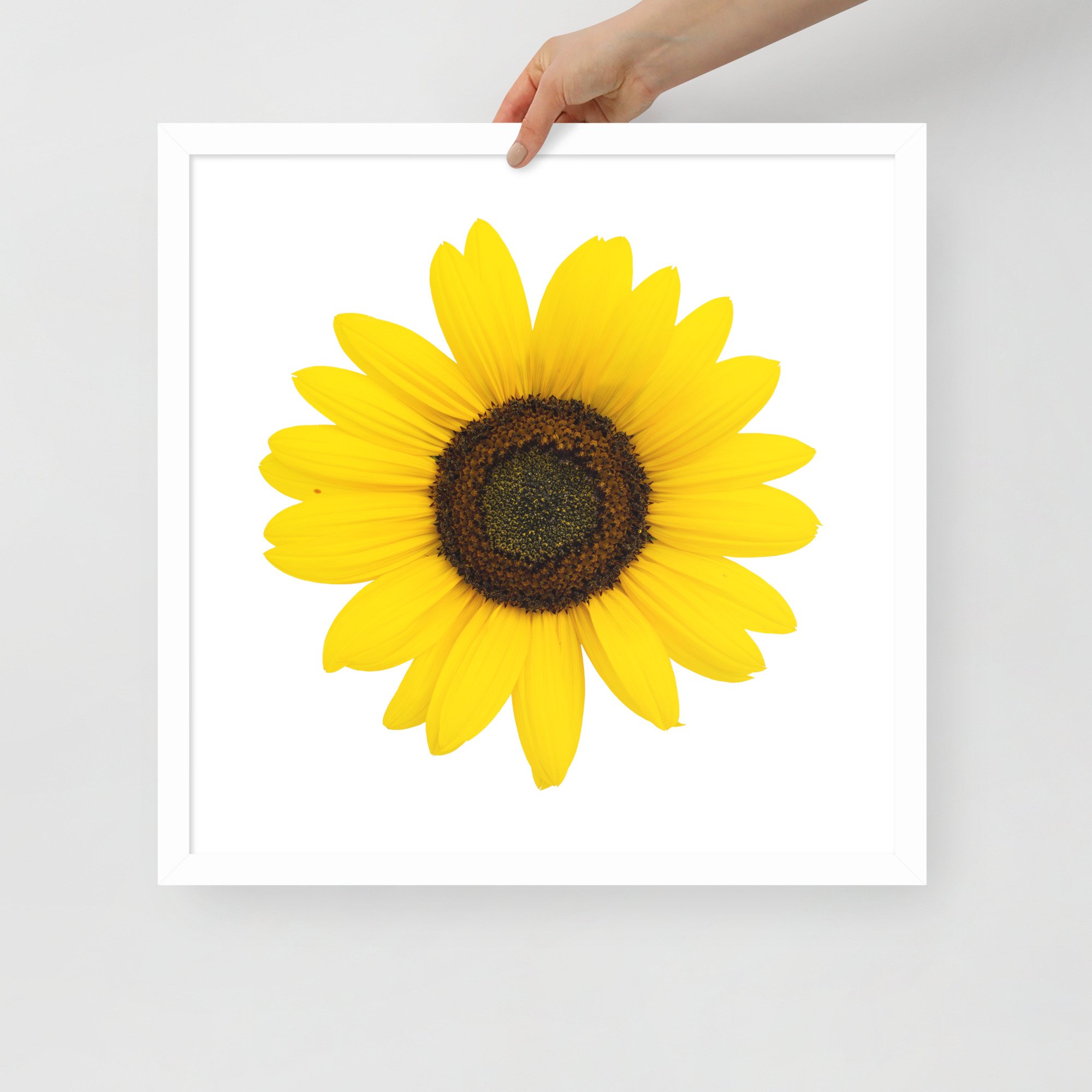 enhanced-matte-paper-framed-poster-(in)-white-18x18-front-655d50e6bb6ab.jpg