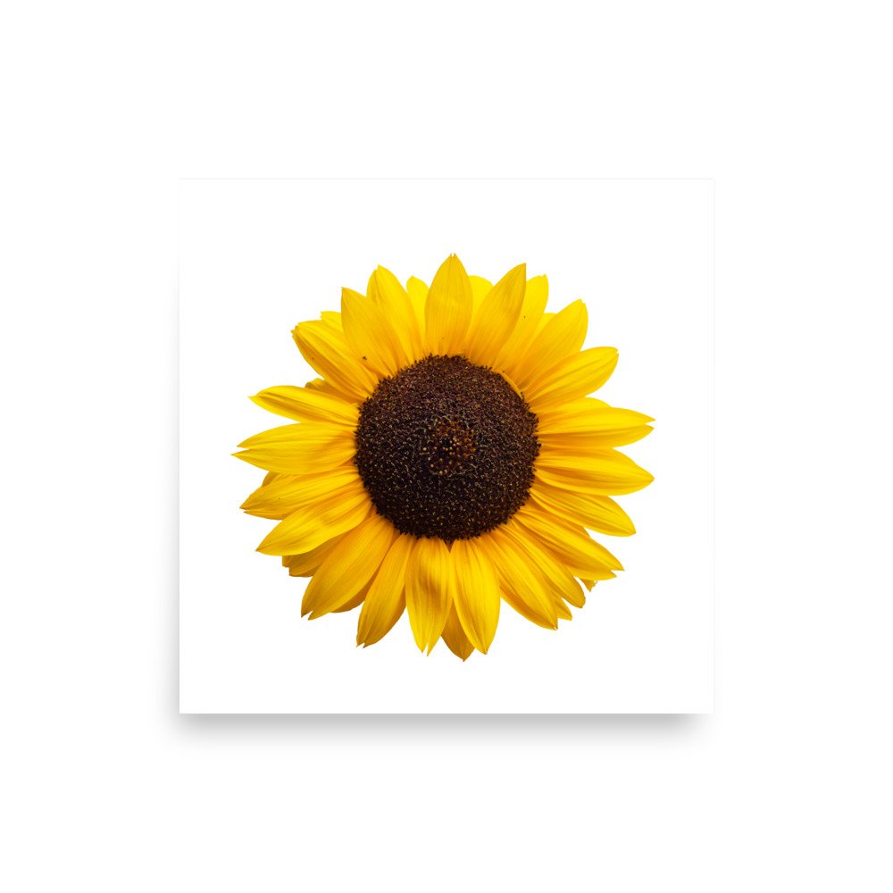 enhanced-matte-paper-poster-(in)-12x12-front-655d09919f4d0.jpg