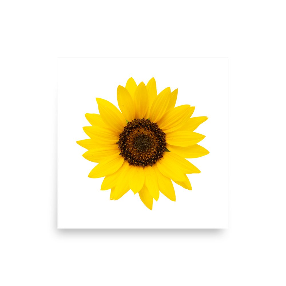 enhanced-matte-paper-poster-(in)-10x10-front-655d035c521e2.jpg