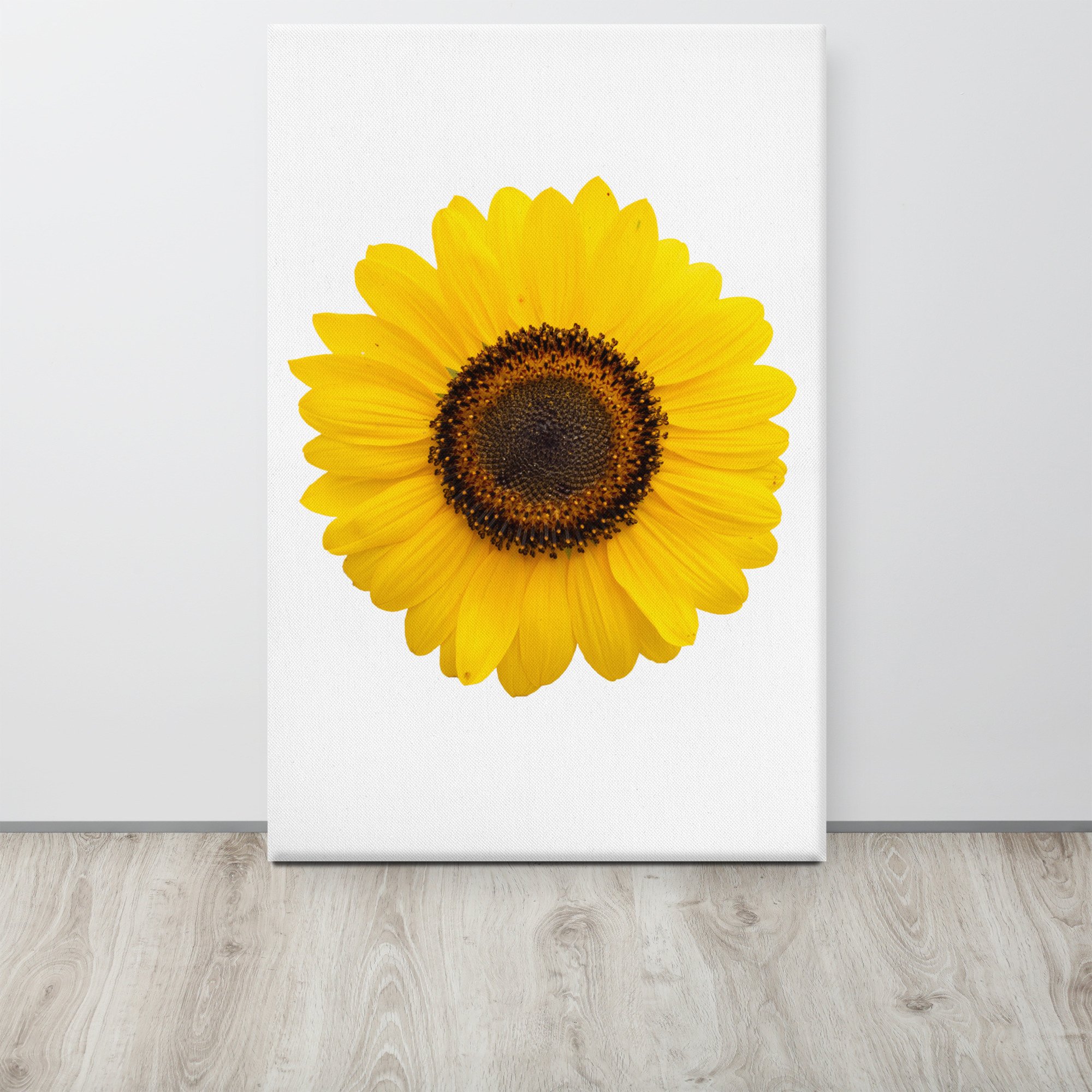 canvas-(in)-24x36-front-655cf69742c06.jpg