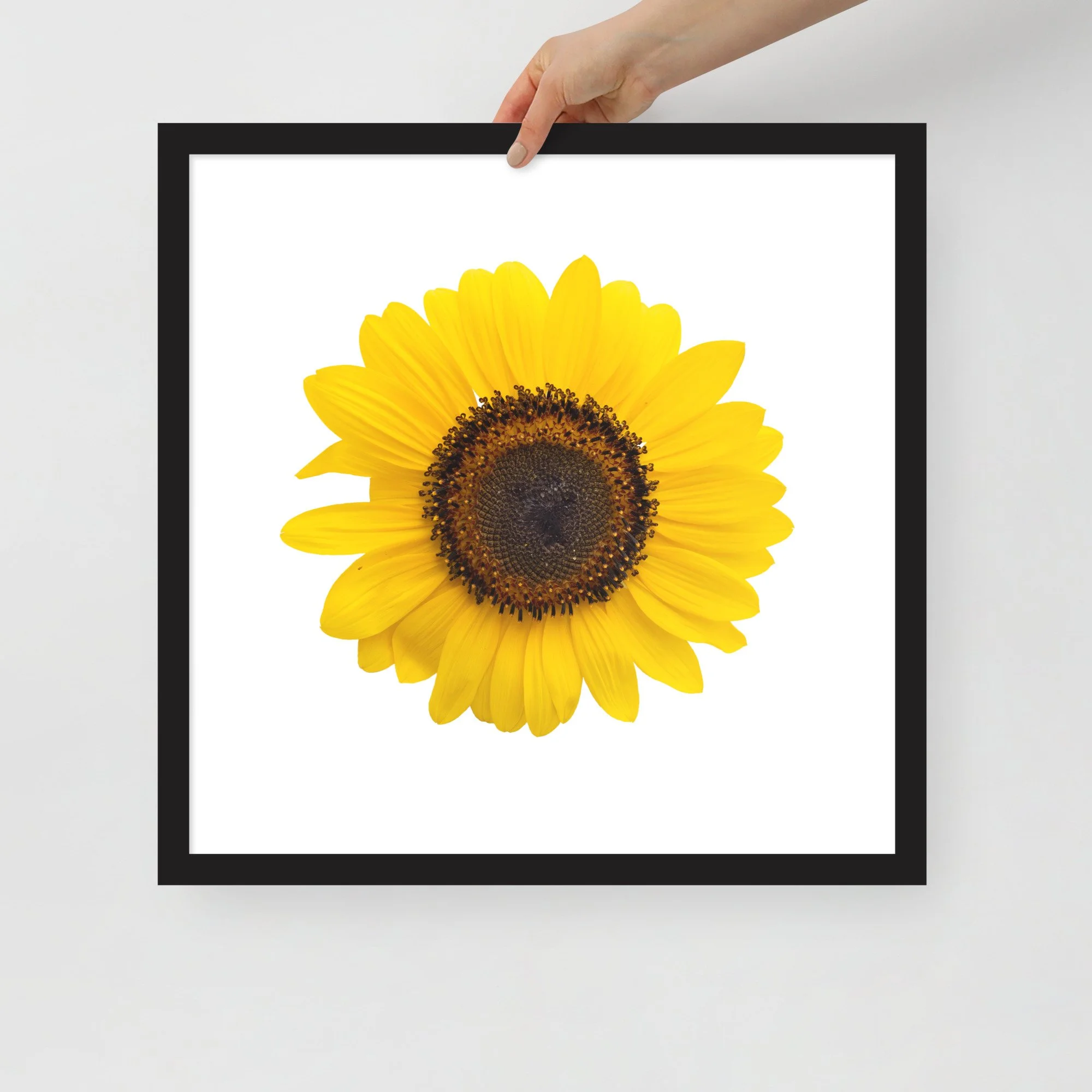 enhanced-matte-paper-framed-poster-(in)-black-18x18-front-655cf26cf25d4.jpg