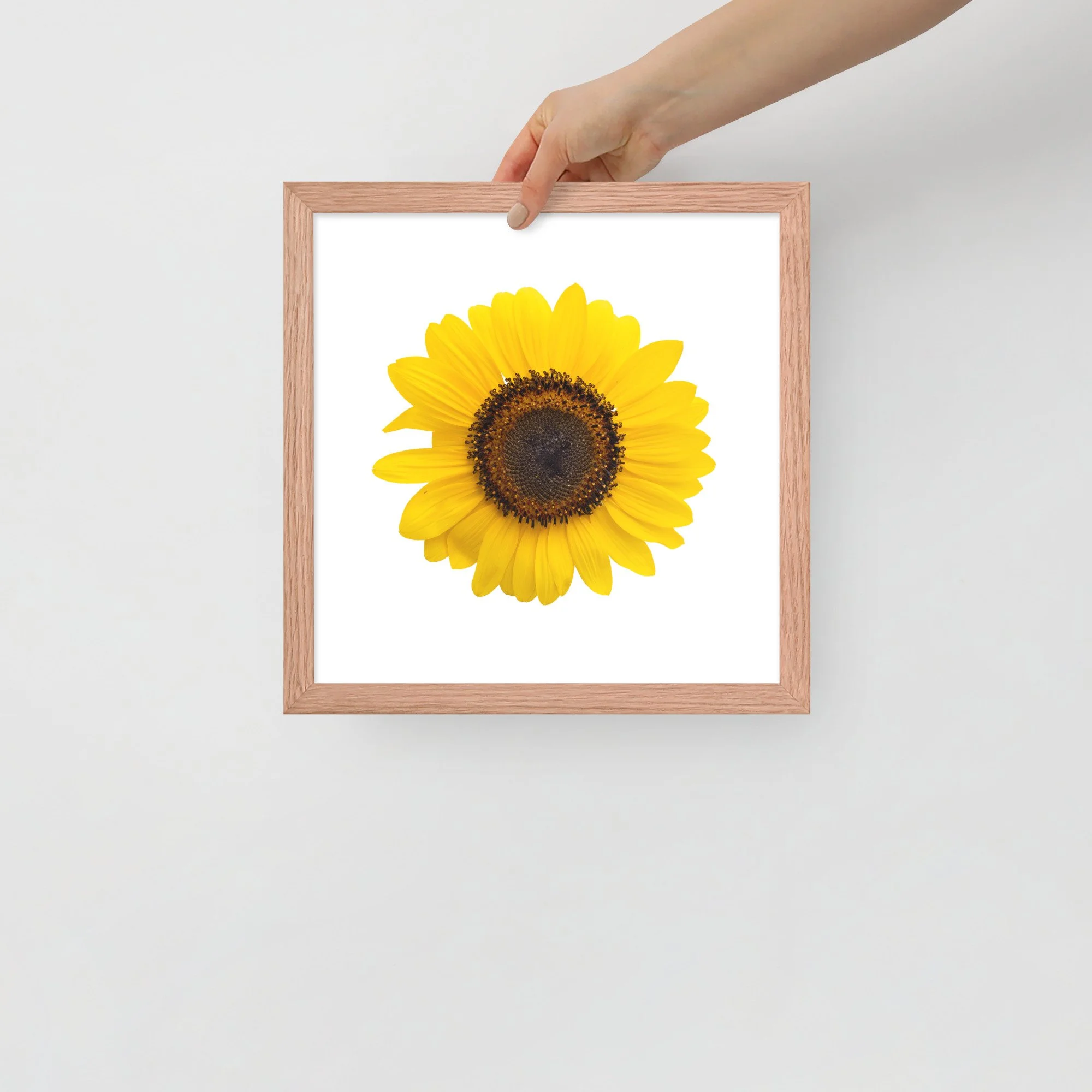 enhanced-matte-paper-framed-poster-(in)-red-oak-12x12-front-655cf26cf3519.jpg