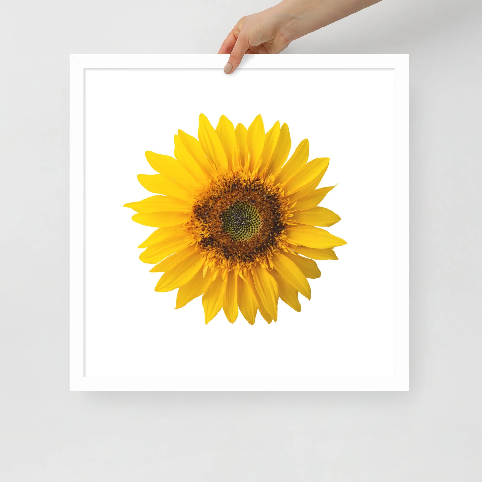 enhanced-matte-paper-framed-poster-(in)-white-18x18-front-655cf142ce2e7.jpg