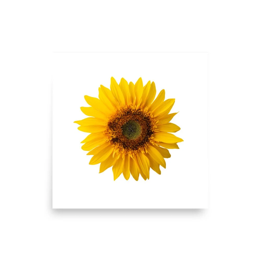 premium-luster-photo-paper-poster-(in)-10x10-front-655cf04235dd0.jpg