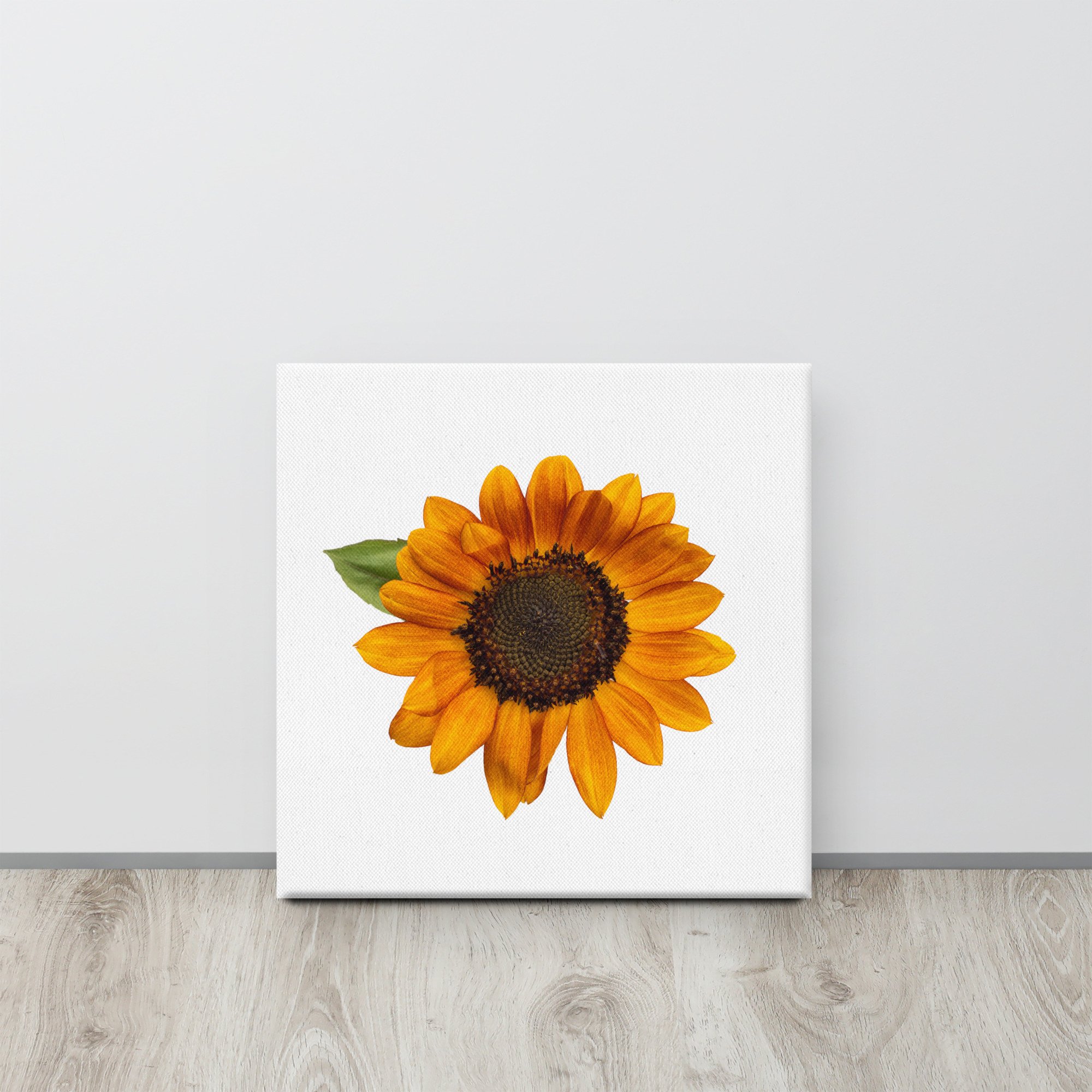 canvas-(in)-16x16-front-655cef3daa94c.jpg