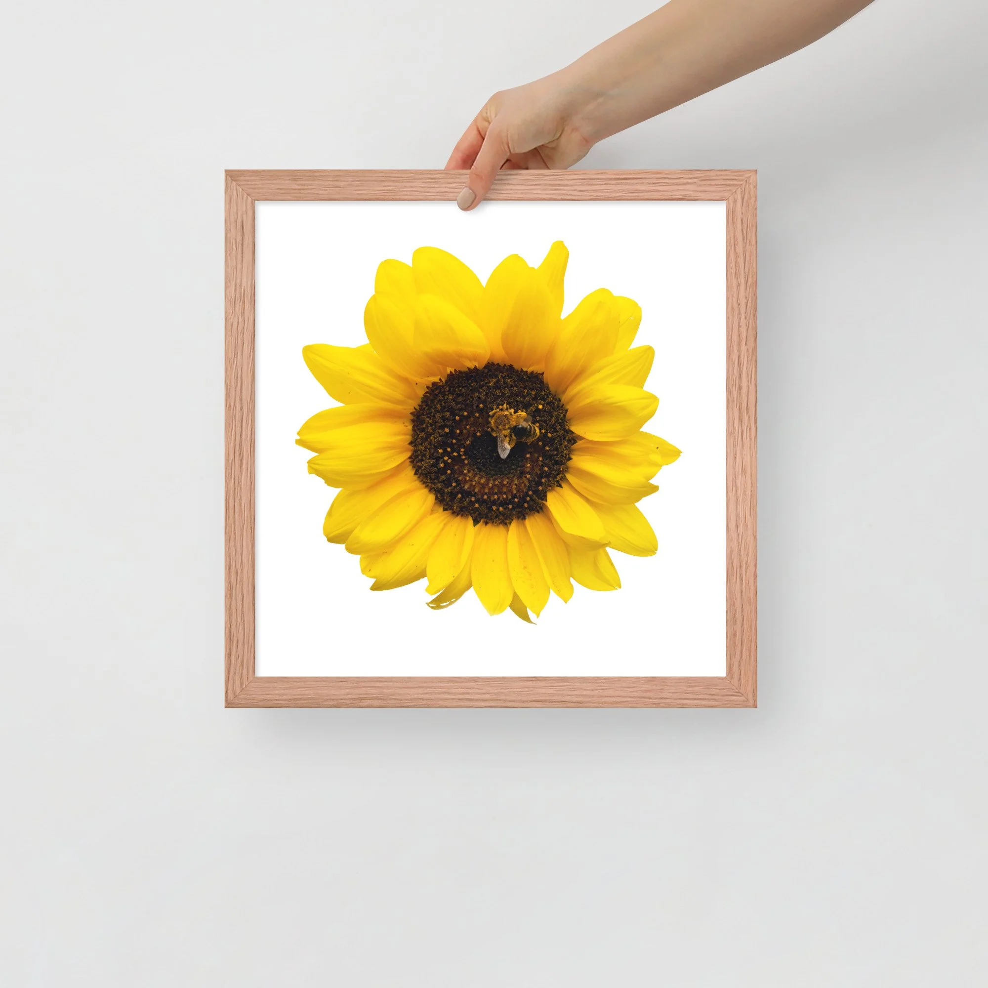 enhanced-matte-paper-framed-poster-(in)-red-oak-14x14-front-655ce624d6f80.jpg
